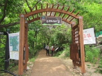 국내 여행기 - 190525 명품 도보여행길… ‘치악산 둘레길’