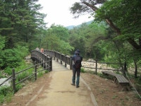 국내 여행기 - 190525 명품 도보여행길… ‘치악산 둘레길’
