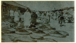 우리역사넷 > 한국사연대기