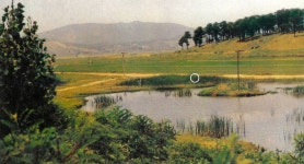 우리역사넷 > 한국사연대기