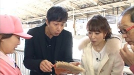 画像・写真 | チュート徳井、「まさか自分が…」　滝川クリステルと番組MC共演 4枚目 | ORICON NEWS 画像・写真 | チュート徳井、... 