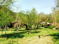 상품상세정보 - 좋은날, 좋은여행 참좋은여행 [미술관 자작나무숲/뮤지엄산]당일