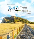 상품상세정보 - 좋은날, 좋은여행 참좋은여행 가성비 끝판왕, 제주오션스위츠+ 서귀포오션팰리스