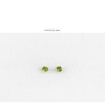 텐바이텐 10X10 : A0419 8월 탄생석 큐빅 은침 귀걸이(케이스포함)