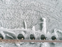   양수리 다녀 왔습니다.     - New Dossa -     양수리 다녀 왔습니다.