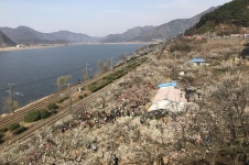 2017. 03. 12 동읍 - 원동 순매원 왕복 후기 - New Dossa - 2017. 03. 12 동읍 - 원동 순매원 왕복 후기