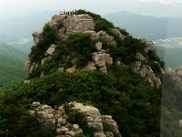 점암중앙중(제16회) | 밴드