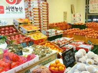 서연농산 배곧점 | 밴드