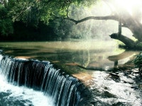 CITY PARK 부녀회 | 밴드
