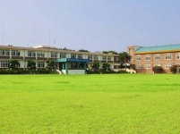 대아초등학교 | 밴드