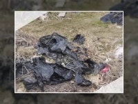 친환경 해도 농장 | 밴드 친환경 종이멀칭지 방송영상 입니다  