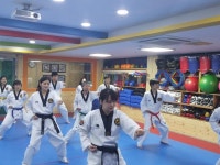 과천 김재훈 태권도장 | 밴드