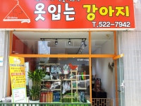 옷입는강아지 | 밴드