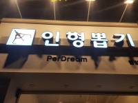 합정샵#인형뽑기 Per Dream(퍼드림) | 밴드