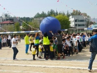미원초등학교총동문회 | 밴드