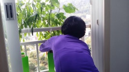 창조개발자 협의회 | 밴드 이런 것이 창조다 아파트의 농장정원이 자연체험학습장이 되고 자연의 아름다움을 느끼게하여 행복을 준다 