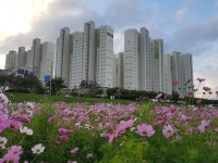 우방아파트 헬스크럽 | 밴드