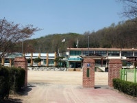 파양초 총 동문들의 이야기 | 밴드