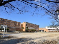 매곡초등학교 | 밴드