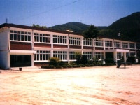 벽화초등학교 총동창회 | 밴드