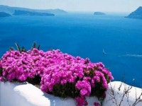 미술관마을(남한강에서) | 밴드