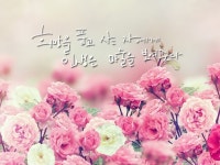 안성욱경매학원진주심화1팀 | 밴드