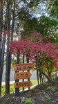 문화유산 답사여행 | 밴드 마곡사~~답사여행기^^    충남 공주시 사곡면 운암리 태화산에 있는 절. 대한불교조계종 제6교구본사이다    2018년... 