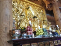 회암사 신도회 | 밴드