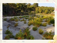 농가 전원 토지 | 밴드 #전원주택지  매물번호 10808 충남 홍성군 홍성읍/ 시내외곽 주택 2채 허가난 전원주택지 325평, 8... 