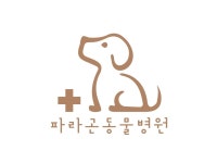 파라곤동물병원 | 밴드