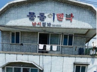 추자도 물돌이 | 밴드