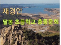 재경인 팔봉초등학교 총동문회 | 밴드