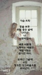 사랑한다면 | 밴드 #시 #문학 #감성글귀 #행복 #사랑 #예쁜 #느낌