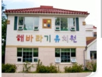 해바라기유치원 | 밴드