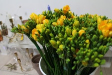 공구하신 후리지아가 왔습니다 ♡ 도매시장에서 15,000이 넘어버린 최고급 아테네 품종이에요. 키가 엄청 크고 얼굴도 거의 ...