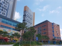 2019 배곧해솔초 어머니폴리스회 | 밴드