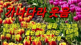행복을 나누는 사람들 | 밴드 {가나다라 웃음} 좋은글과 {다양한 봄꽃}과 {문연주의 사랑은 만병 통치약}를 엮어서 [기분좋은 동영상]을 만들었어요... 