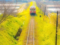 평동.고색동.오목천동.호매실동                     사람들 | 밴드