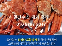 알찬수산 대게,홍게 각종수산물 | 밴드