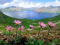 산삼나라》송라》버섯나라》능이》송이》장뇌삼》파쇄환》산행》 | 밴드