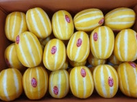 달코미네~♡ | 밴드 #성주참외 #50과이내 #로얄과(31ㅡ40과) #우체국      #소과성주참외(40~50과) #10kg▶20.000원(택포함   #로얄과...