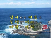 사교댄스와 함께하는 즐거운 생활 | 밴드