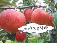 농업경제방송 (직거래 장터) | 밴드 #지리산반달곰홍로사과 #구름발치사과농원 나눔이벵 #추석선물셑트홍보 및 판매   아침.저녁 제법 서늘한... 