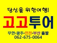 고고투어/광주공항/무안공항/빅세일/프라이드여행 | 밴드