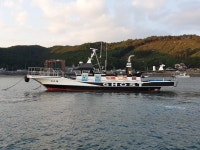 오천항스나이퍼호 광어 우럭다운샷 배낚시 선상낚시 쭈꾸미 갑오징어 백조기바다낚시 | 밴드