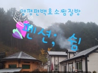 양평편백효소찜질체험방01037130020 | 밴드