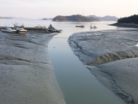 섬사랑 관광지킴이 | 밴드