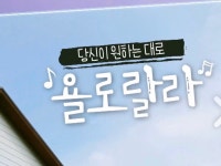 3050 욜로랄라 행복한 밴드( 대구, 경북, 경남) | 밴드