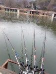 어우동(Fishing)주봉낚시공원 | 밴드 어제 하루 주봉낚시터에서 붕어에 멋진 찌올림 에 신랑하고 힐링잘하고 왔네요