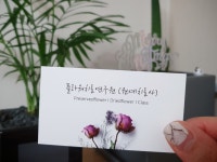 플라워치료연구원 | 밴드